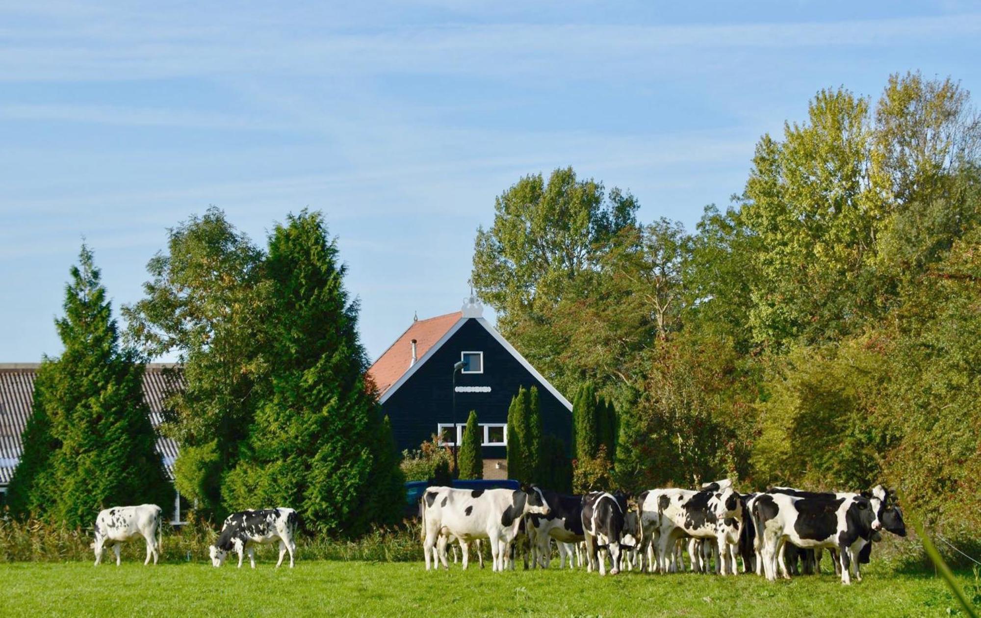 Het Melkhuis Op Prachtig Landgoed Koepeltjesplaats Gaast Kültér fotó